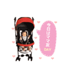 みはるスタンプ（個別スタンプ：13）