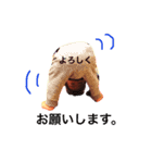 STAMP.H（個別スタンプ：6）