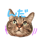 ちょる（個別スタンプ：2）