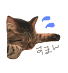 ちょる（個別スタンプ：3）