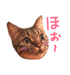 ちょる（個別スタンプ：5）