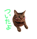 ちょる（個別スタンプ：7）