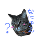 ちょる（個別スタンプ：8）