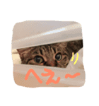 ちょる（個別スタンプ：10）