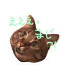 ちょる（個別スタンプ：14）