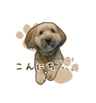 わんず*（個別スタンプ：2）
