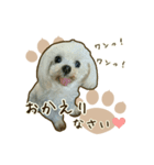 わんず*（個別スタンプ：12）