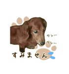 わんず*（個別スタンプ：16）