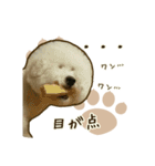 わんず*（個別スタンプ：18）
