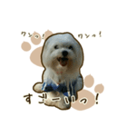 わんず*（個別スタンプ：23）