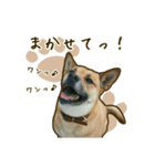 わんず*（個別スタンプ：24）
