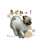 わんず*（個別スタンプ：28）