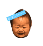 晴人と昂平の兄弟スタンプ（個別スタンプ：2）