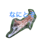 Siba dog's New year greeting.（個別スタンプ：2）