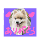ronkun（個別スタンプ：2）