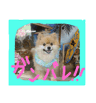 ronkun（個別スタンプ：6）