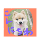 ronkun（個別スタンプ：8）