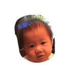 べアース（個別スタンプ：3）