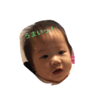 べアース（個別スタンプ：6）