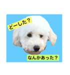 withシェリー2（個別スタンプ：5）