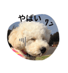 withシェリー2（個別スタンプ：6）