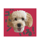withシェリー2（個別スタンプ：7）