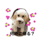 withシェリー2（個別スタンプ：8）