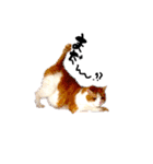 とらにゃん猫スタンプ（個別スタンプ：8）