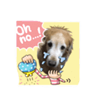 私のゴールデン（個別スタンプ：3）