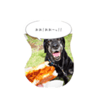 Labrador Totti！（個別スタンプ：9）