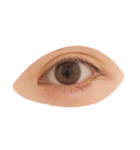 eye sticker_me（個別スタンプ：4）