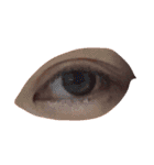 eye sticker_me（個別スタンプ：10）