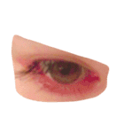 eye sticker_me（個別スタンプ：17）