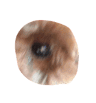 eye sticker_me（個別スタンプ：23）