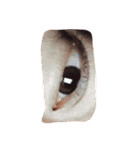 eye sticker_me（個別スタンプ：24）