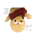 ぴーちゃん(26歳)（個別スタンプ：5）