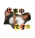 堤家のスタンプ2（個別スタンプ：2）