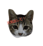 iyasineco（個別スタンプ：9）