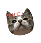 iyasineco（個別スタンプ：18）