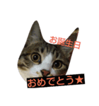 iyasineco（個別スタンプ：20）