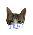 iyasineco（個別スタンプ：23）