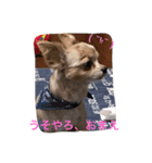 ウチのバカ犬2（個別スタンプ：7）