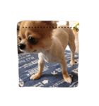 ウチのバカ犬2（個別スタンプ：12）