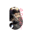 そうじあんどさえ（個別スタンプ：6）