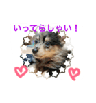 もなと仲間たち2（個別スタンプ：1）