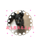 もなと仲間たち2（個別スタンプ：4）