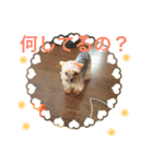 もなと仲間たち2（個別スタンプ：6）