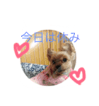 もなと仲間たち2（個別スタンプ：8）