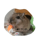スナネズミ飼い専用（個別スタンプ：8）
