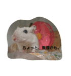スナネズミ飼い専用（個別スタンプ：26）